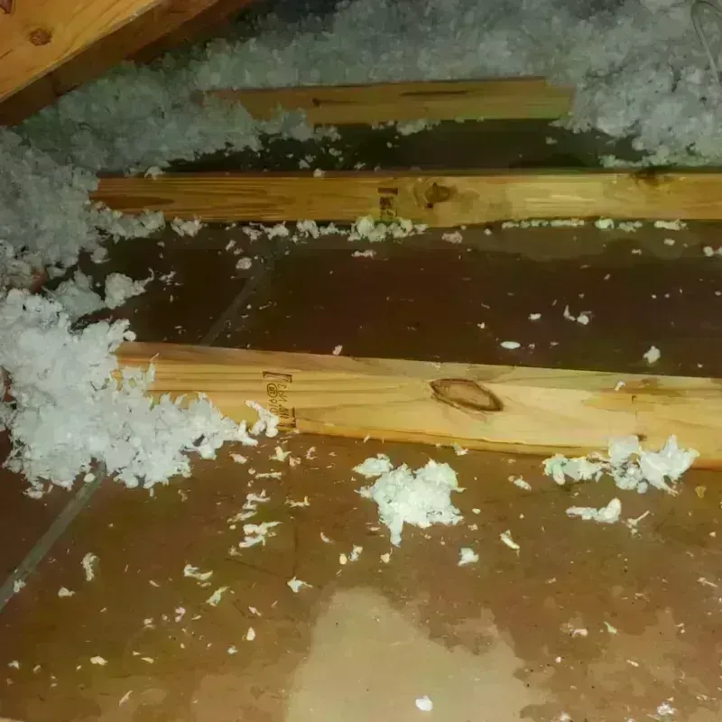 Attic Water Damage in La Quinta, CA